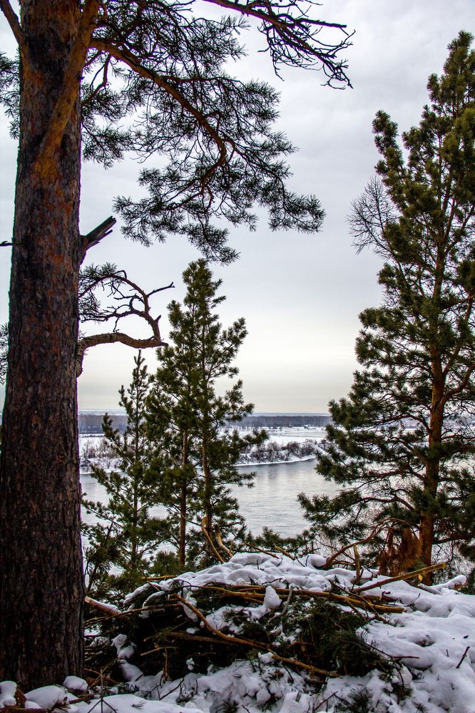 Берег р.Енисей