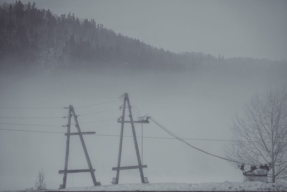 Two A-towers walking their pet in a foggy morning