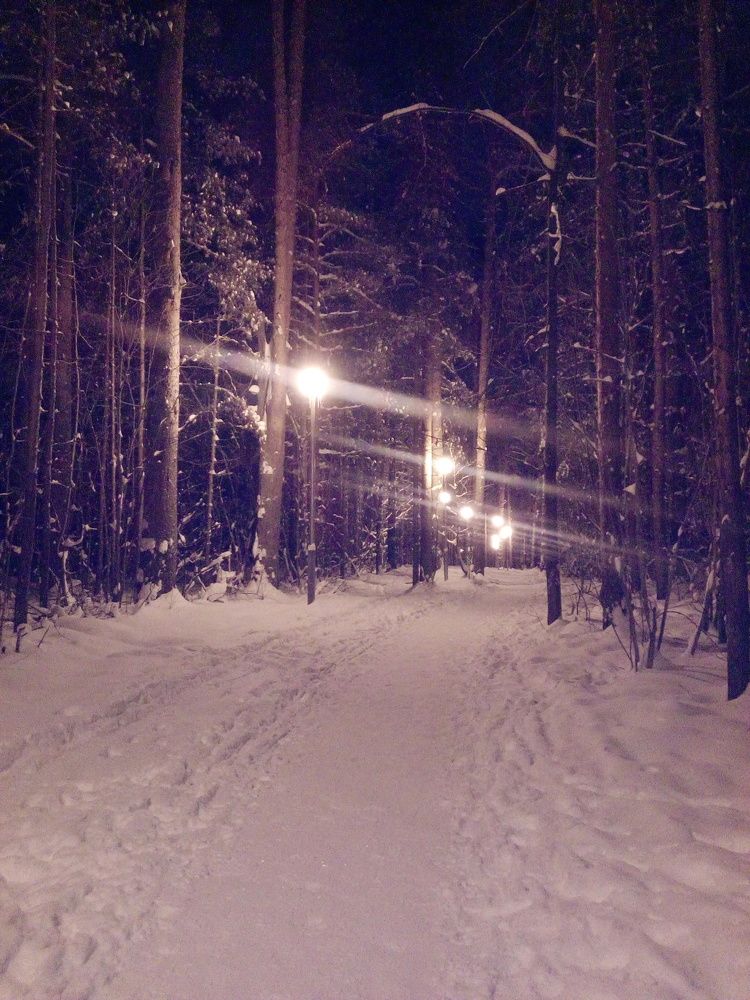 Зима в  лесу