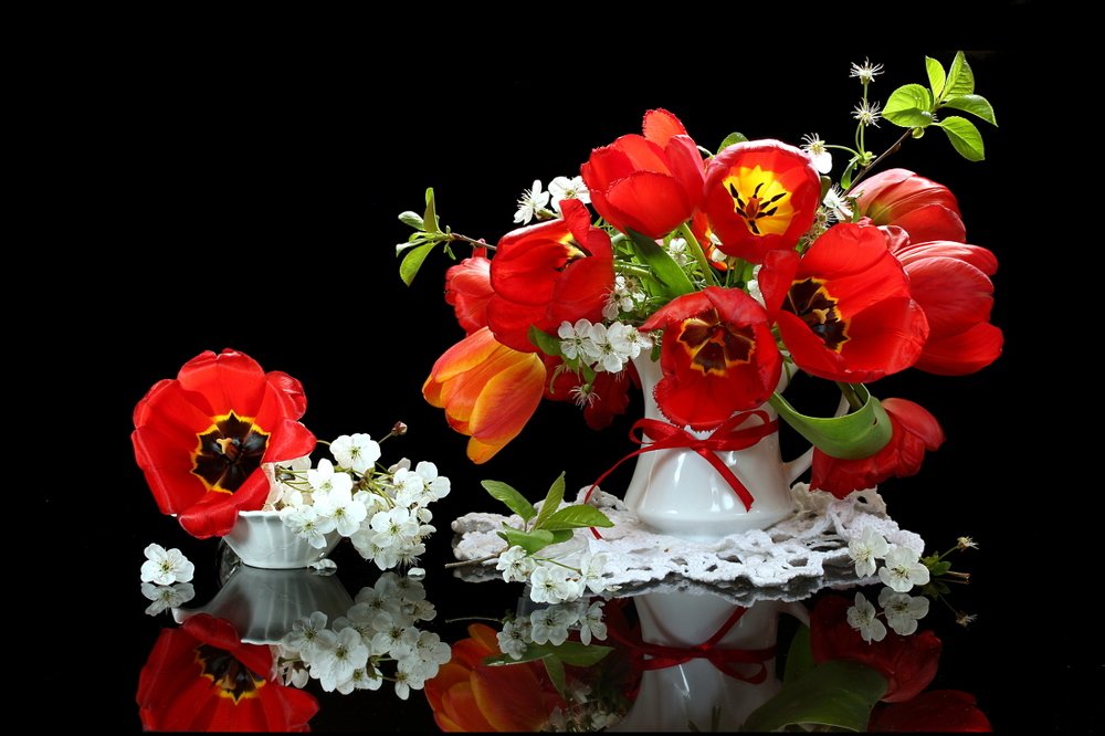 Алые тюльпаны