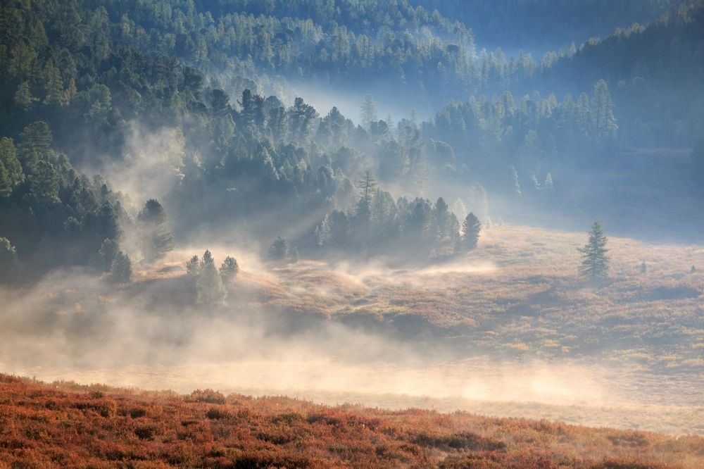 Утро Улаганского нагорья