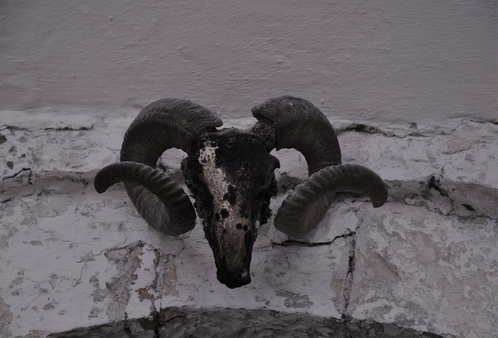 Photograph by Naim Iseni