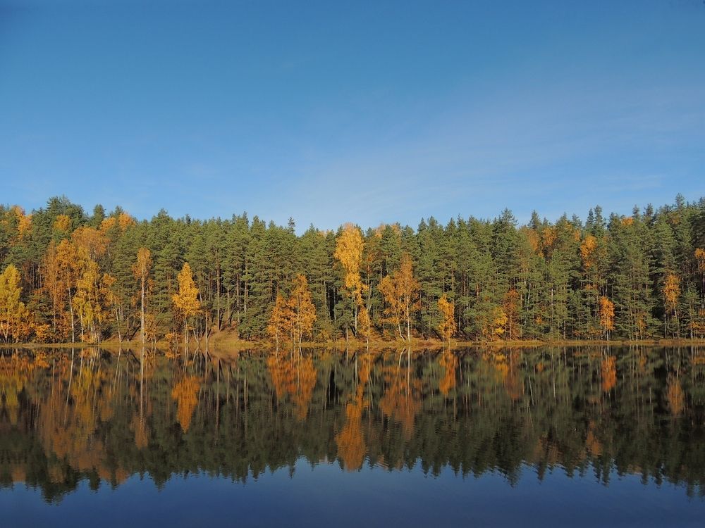 Осенние краски