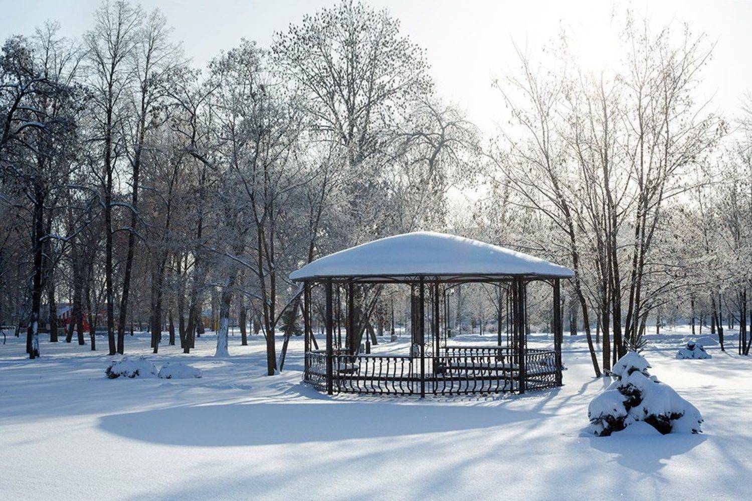 Парк, зимующий под снегом