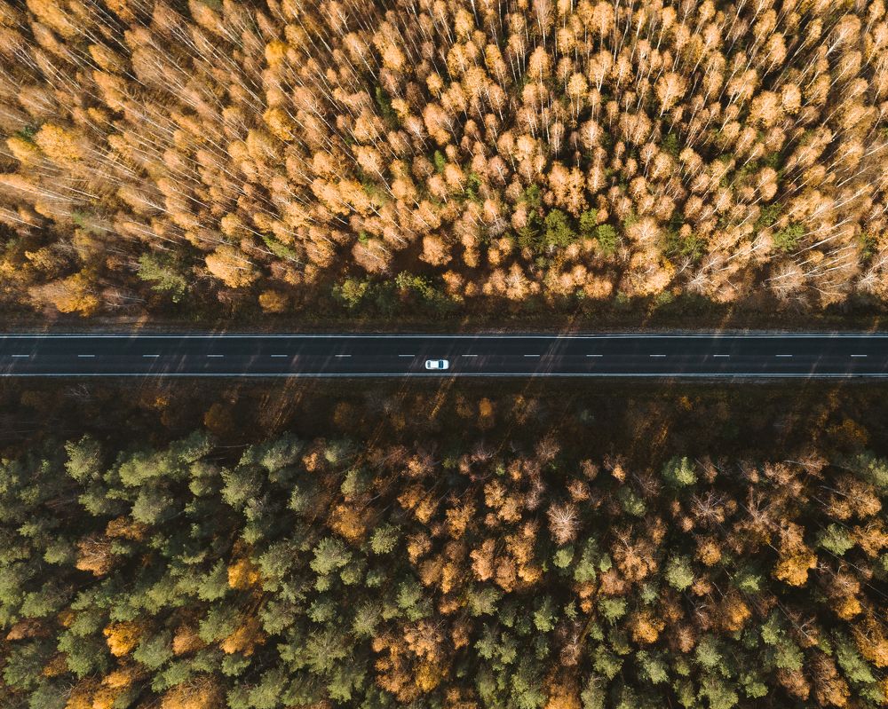 Дорога во Владимирской области