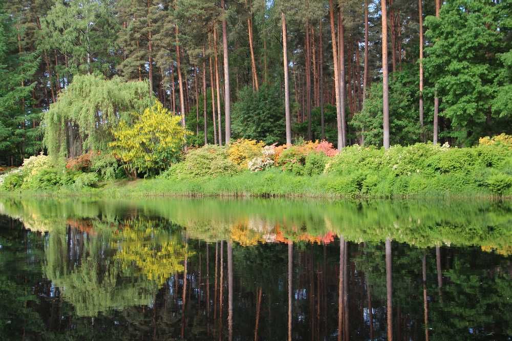 Просто рай.