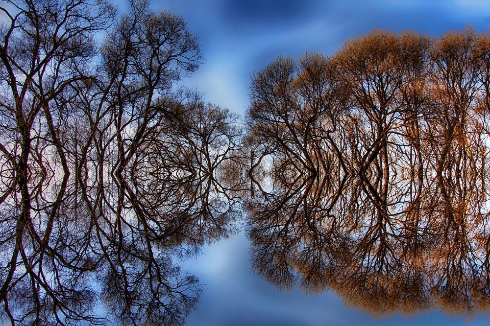 Photograph by Gaļina