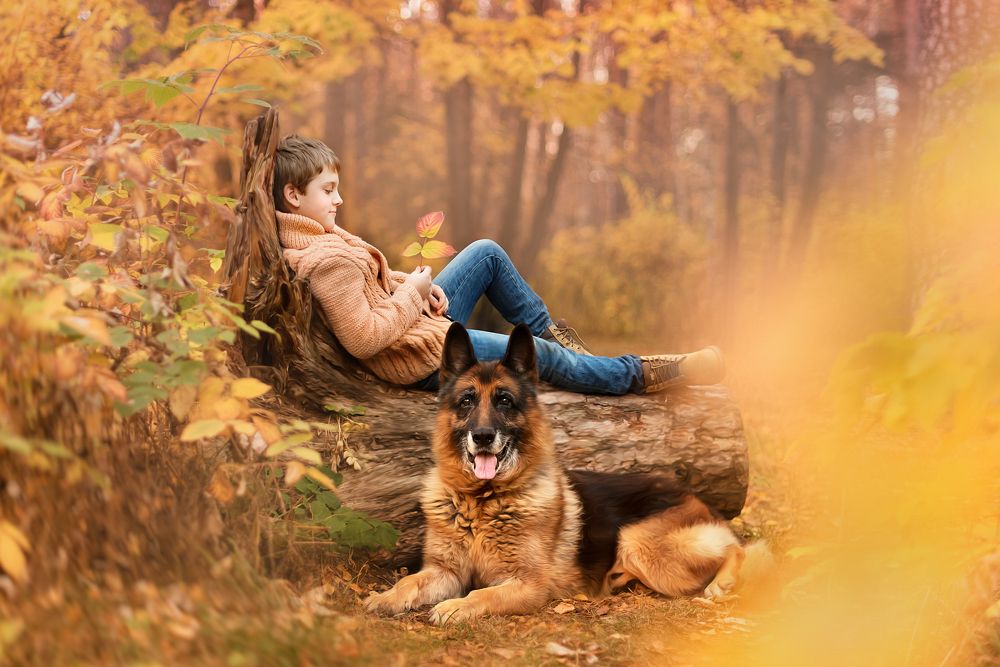 под защитой