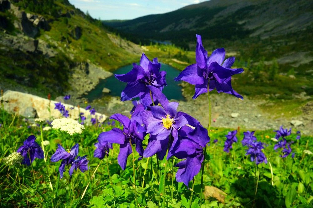 Алтай,Каракольские озера