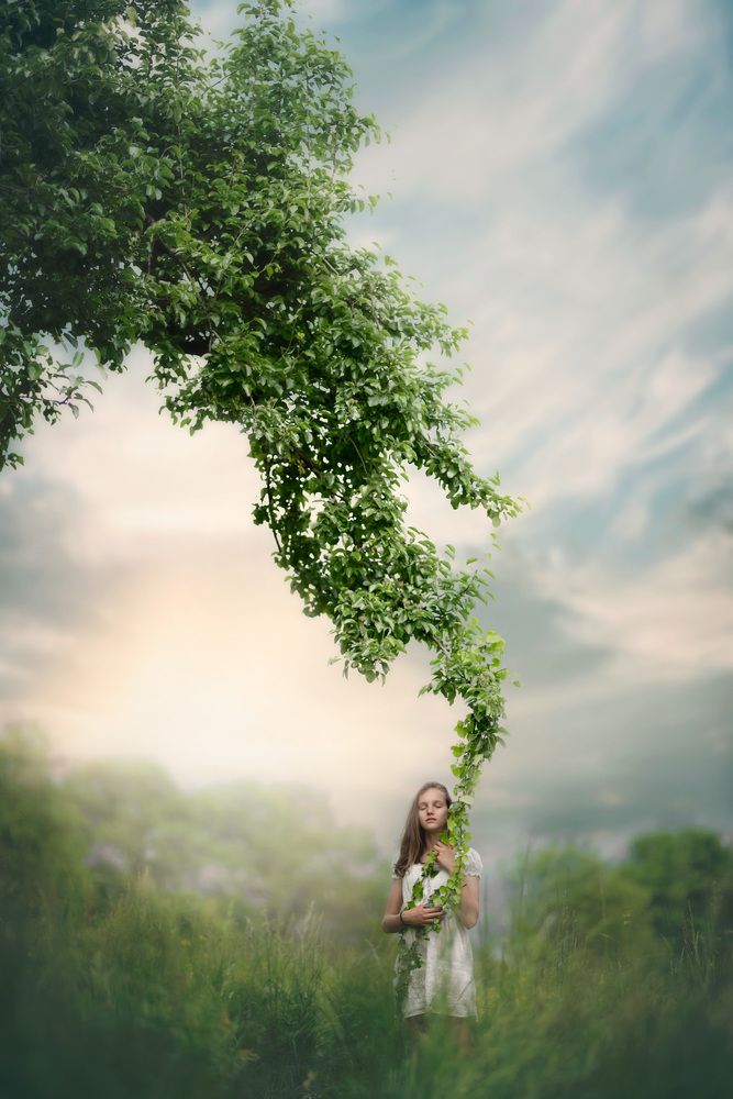 The Whisper Of The Tree