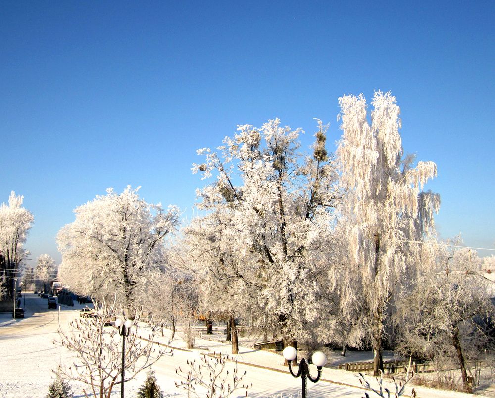 Photograph by Алина Лукащук