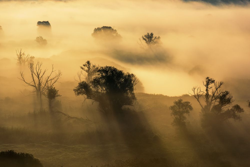 Туманное великолепие