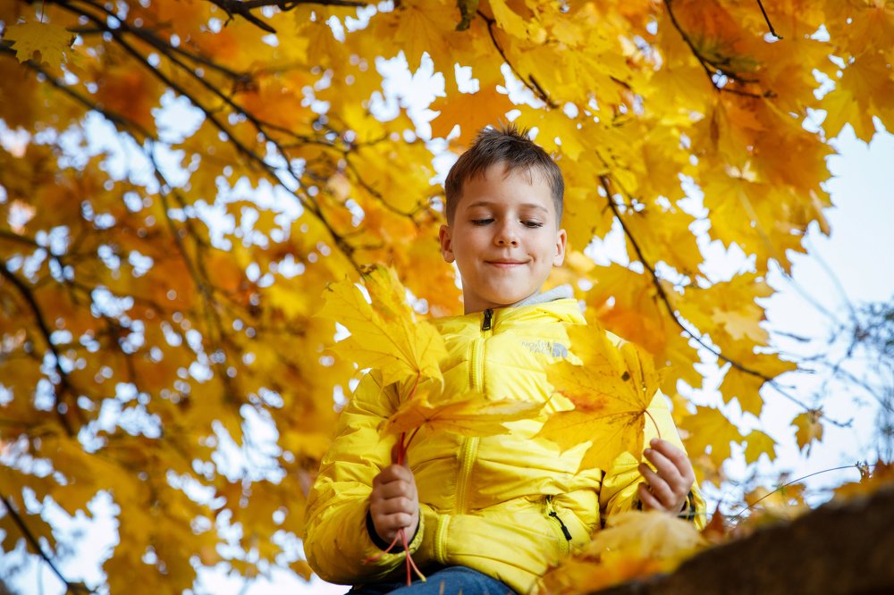 Золотая осень