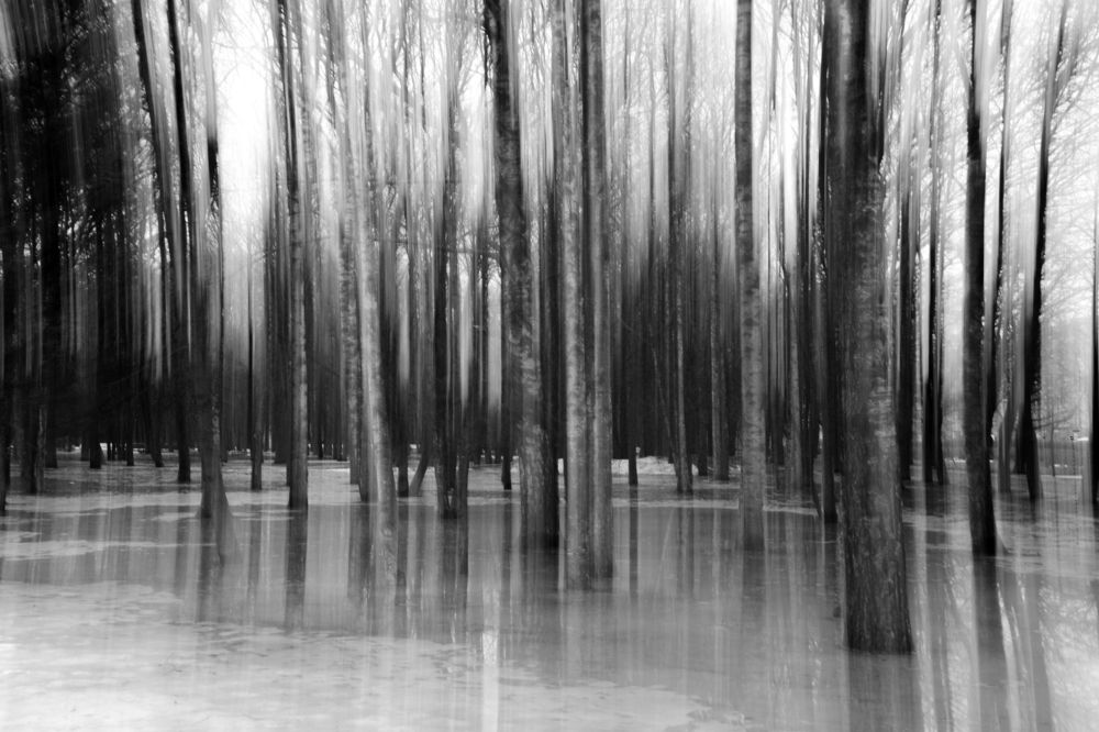 Photograph by Андрей Шестаков