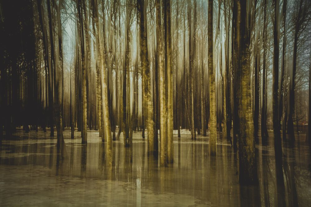 Photograph by Андрей Шестаков