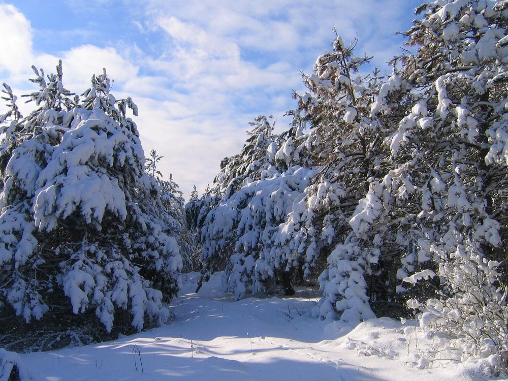 Photograph by Светлана