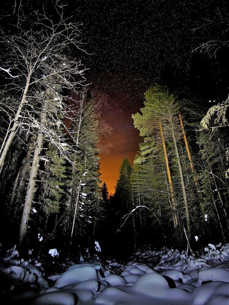 Ночь в зимнем русле реки