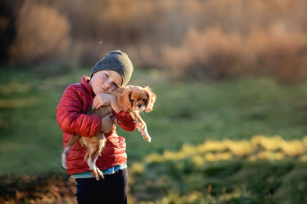 любимый питомец
