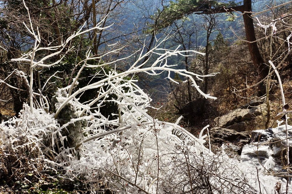 Контрасты крымской зимы