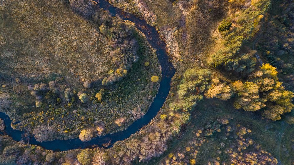 Равнинных рек причудливы изгибы