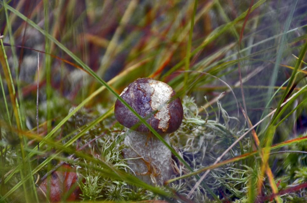 Photograph by Daria Makaidenko
