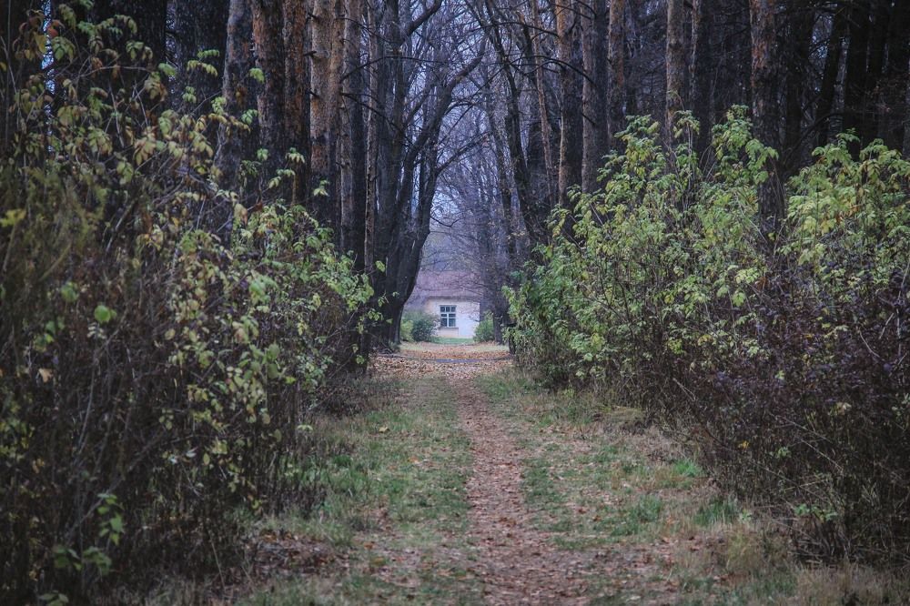 Домик в Коломне