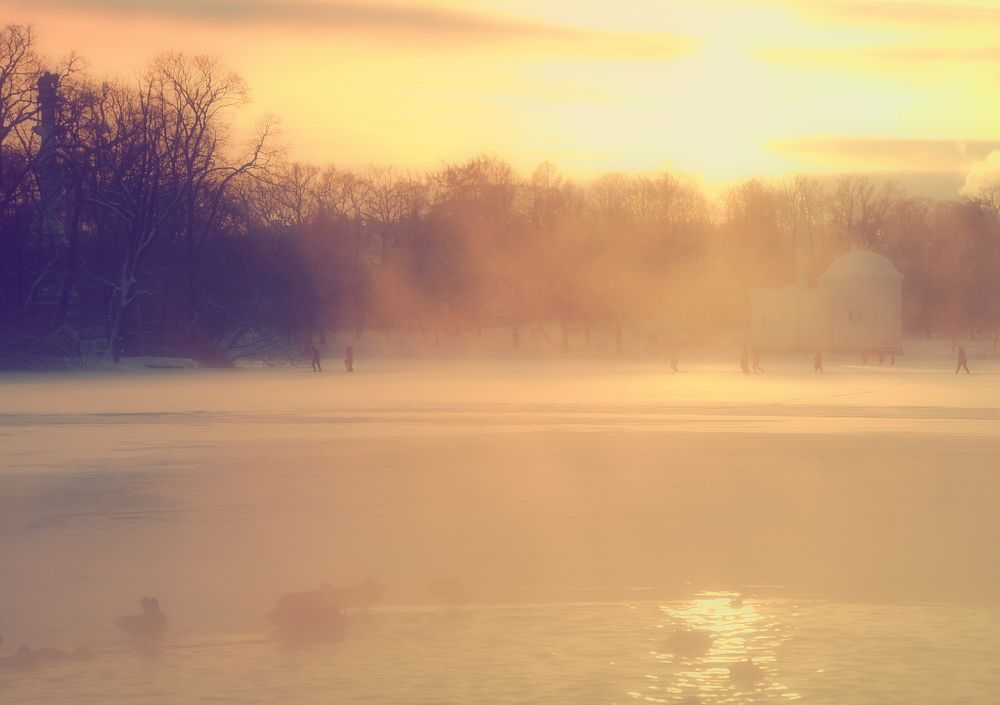 Зимний вечер в Царском Селе