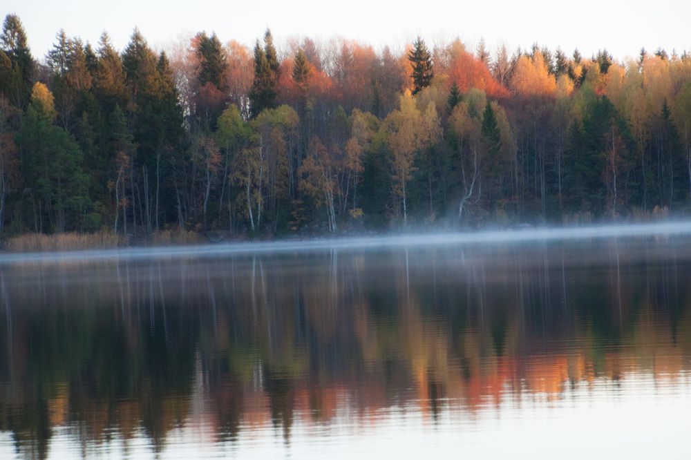 Утро первого заморозка
