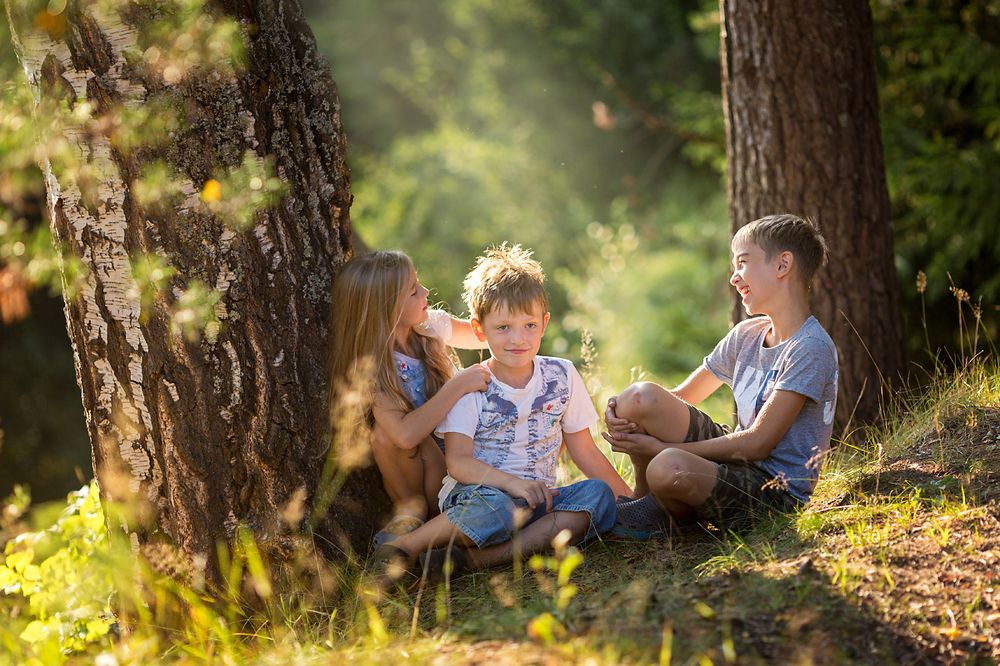 Летние деньки