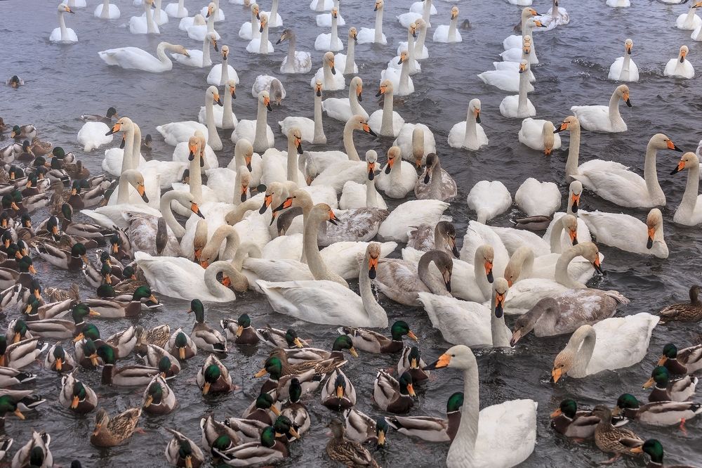 все в одном месте
