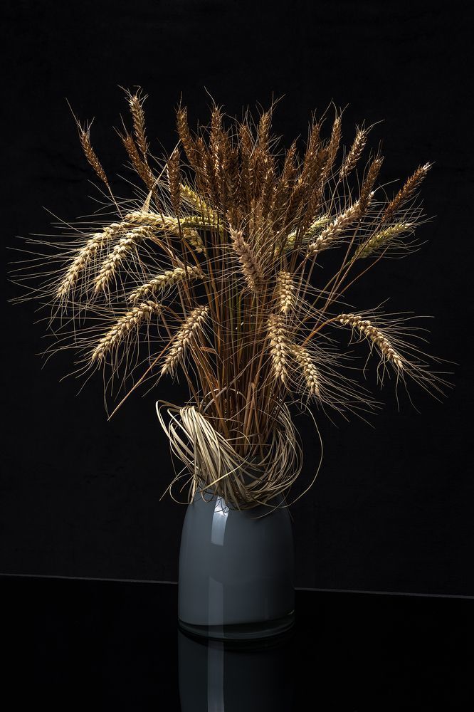 Photograph by Facundo Bacardi