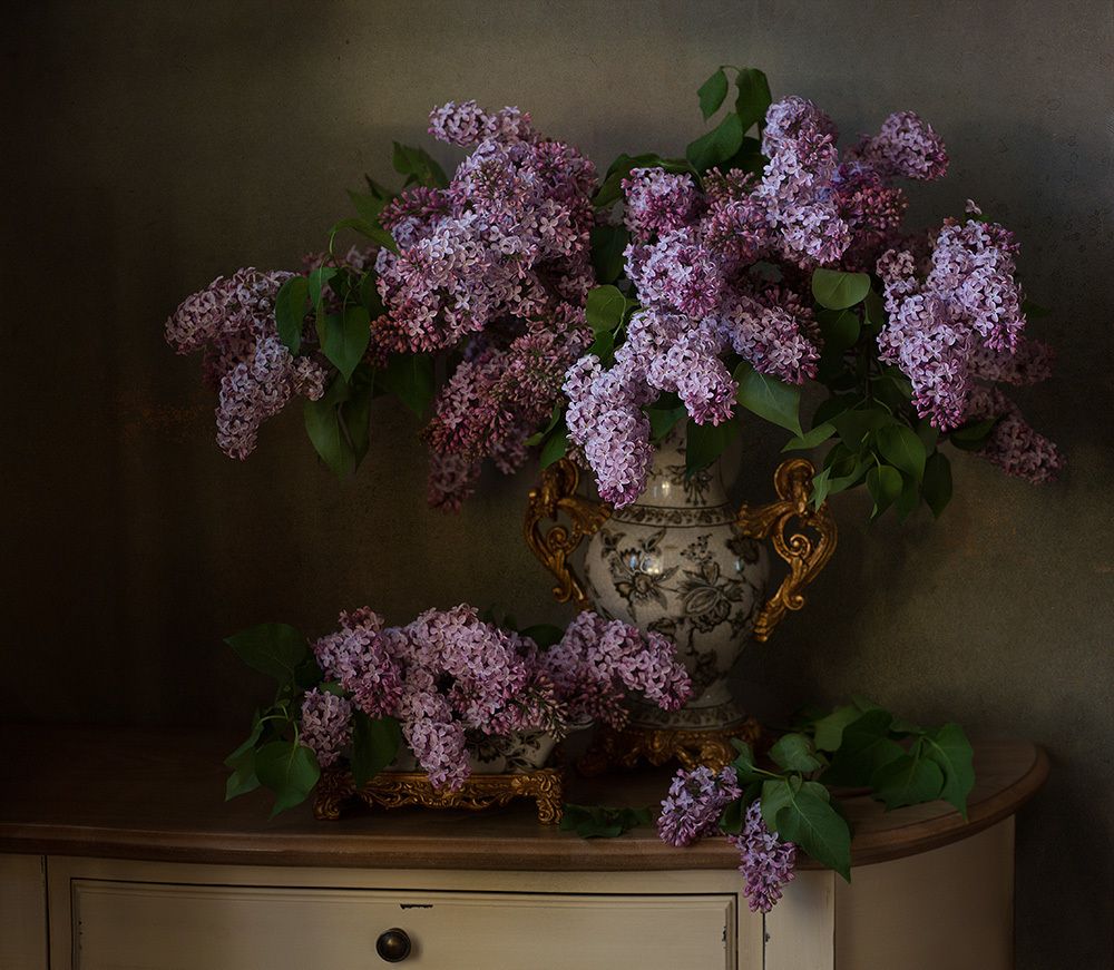 Весенний вечер