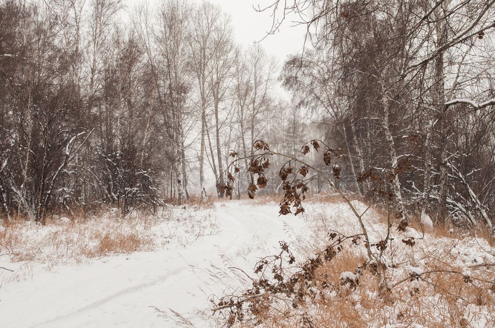 Photograph by Кадырова Анастасия