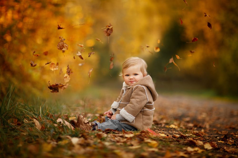 Краски осени