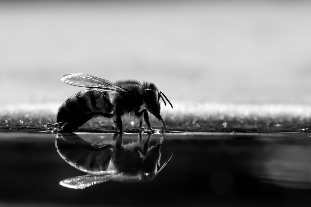 Отражение...