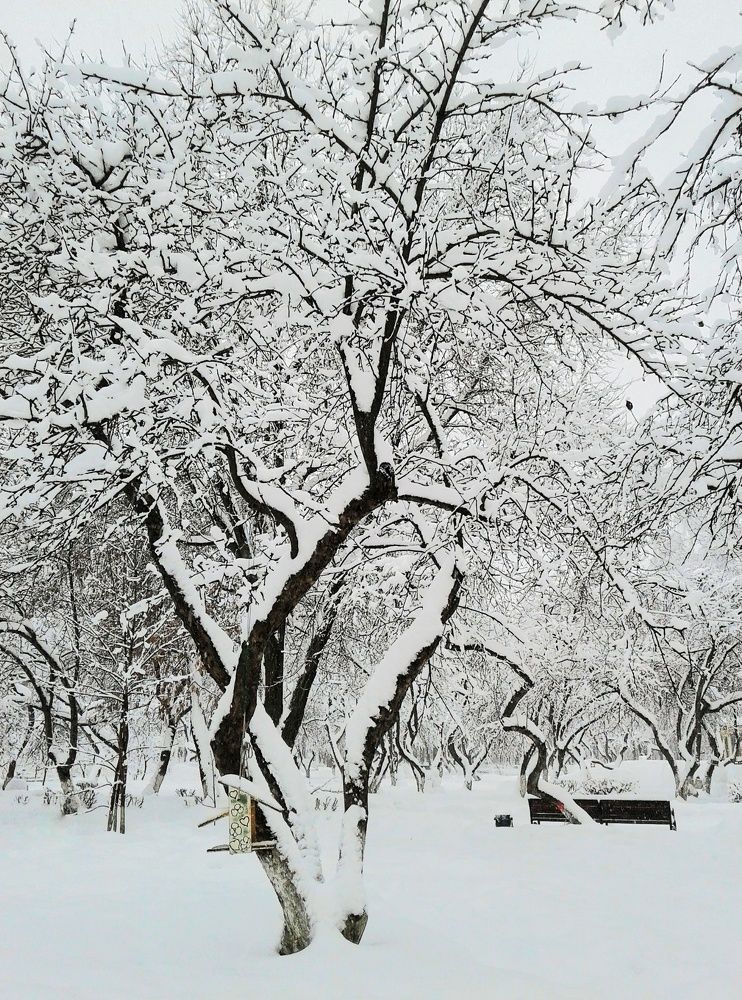 Photograph by Людмила М