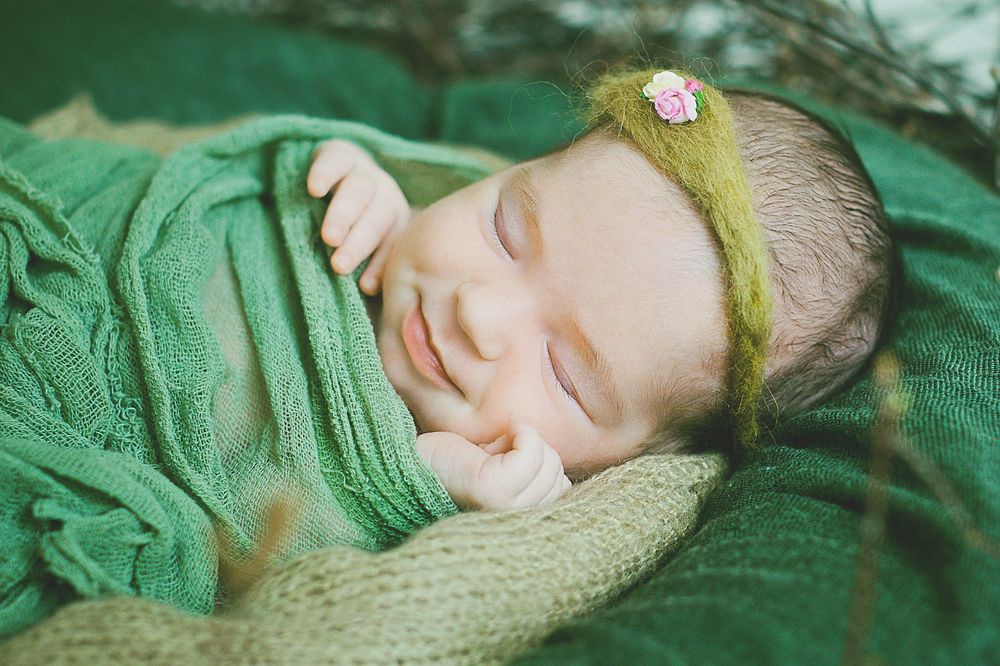 Сон Алексанны