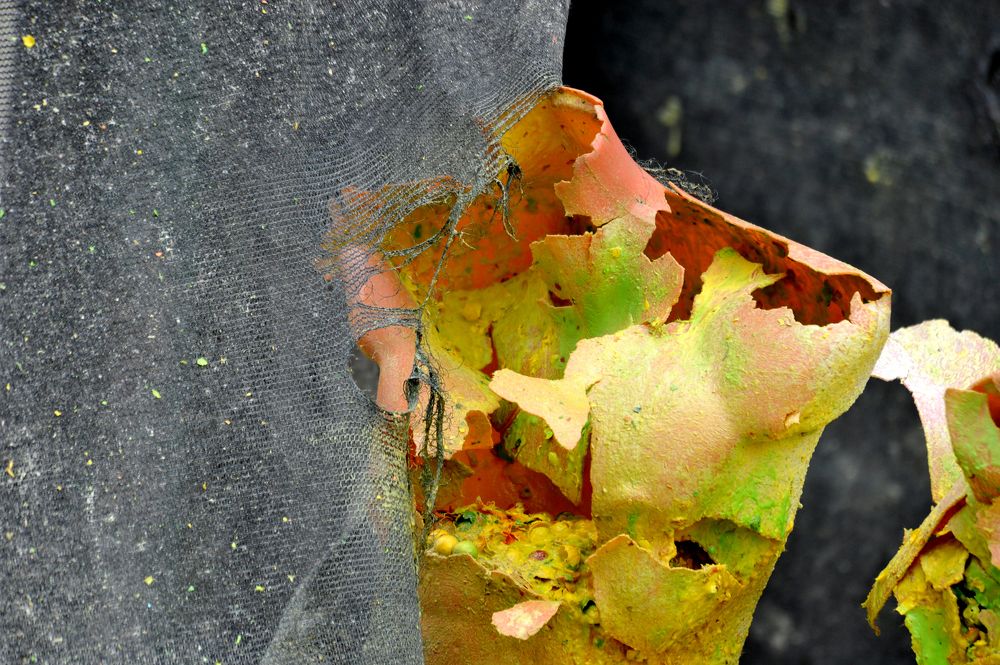 Photograph by игорь