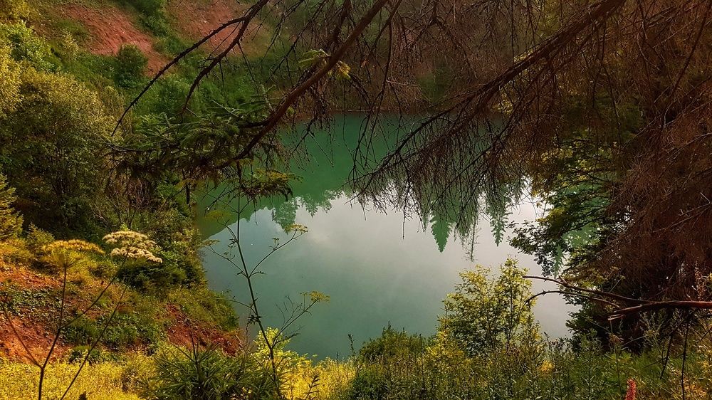 Морской глаз