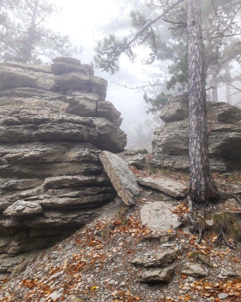 Крымский пейзаж 2018г.