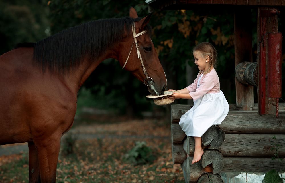 Фотография автора Анна Евгеньева