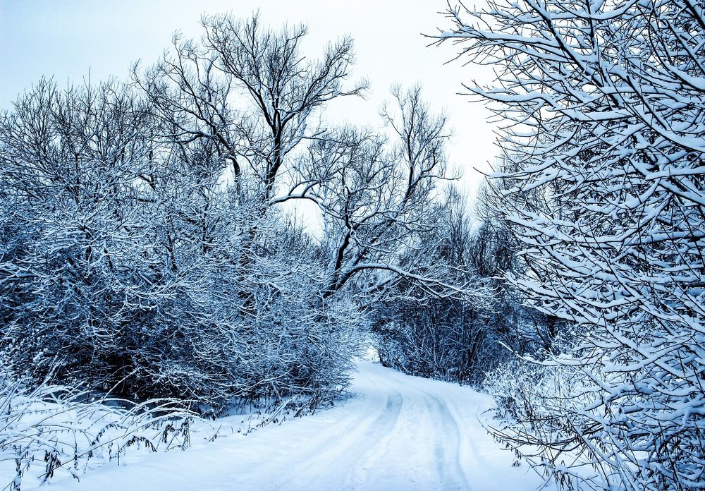 Road to village/Дорога в деревню