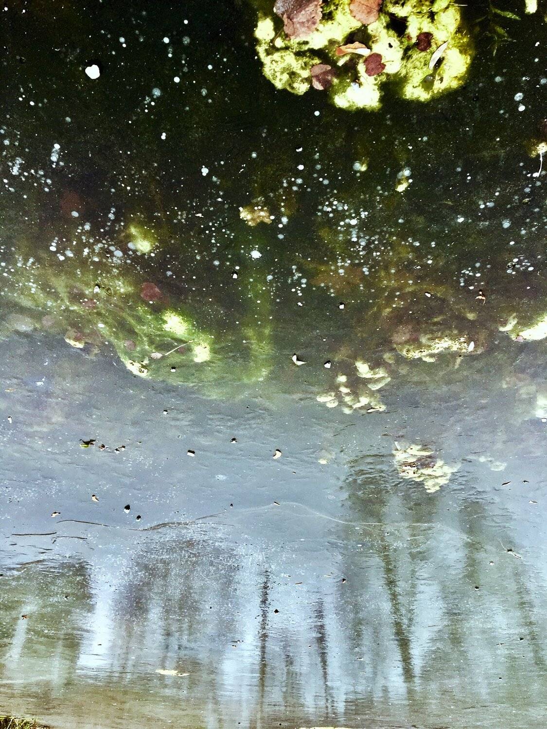 Ноябрь