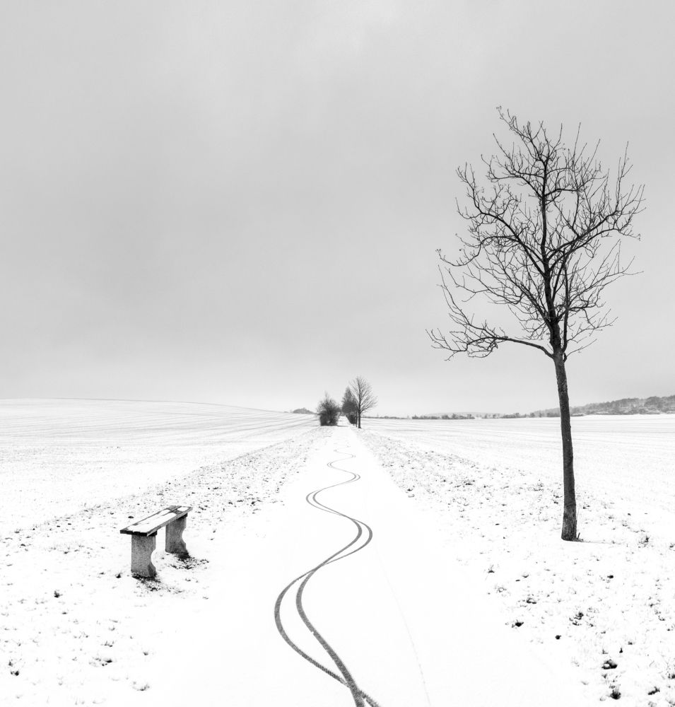 Photograph by Sergey Yakovlev