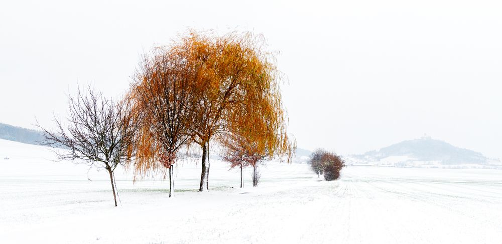 Photograph by Sergey Yakovlev