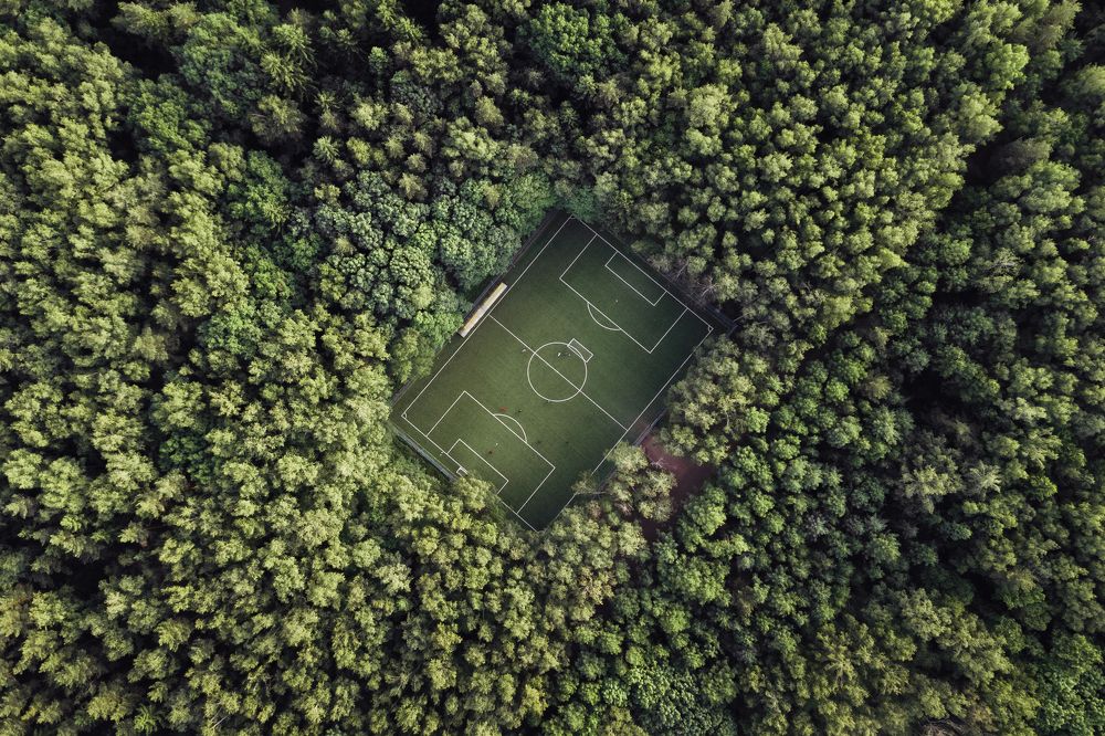 Football in the forest