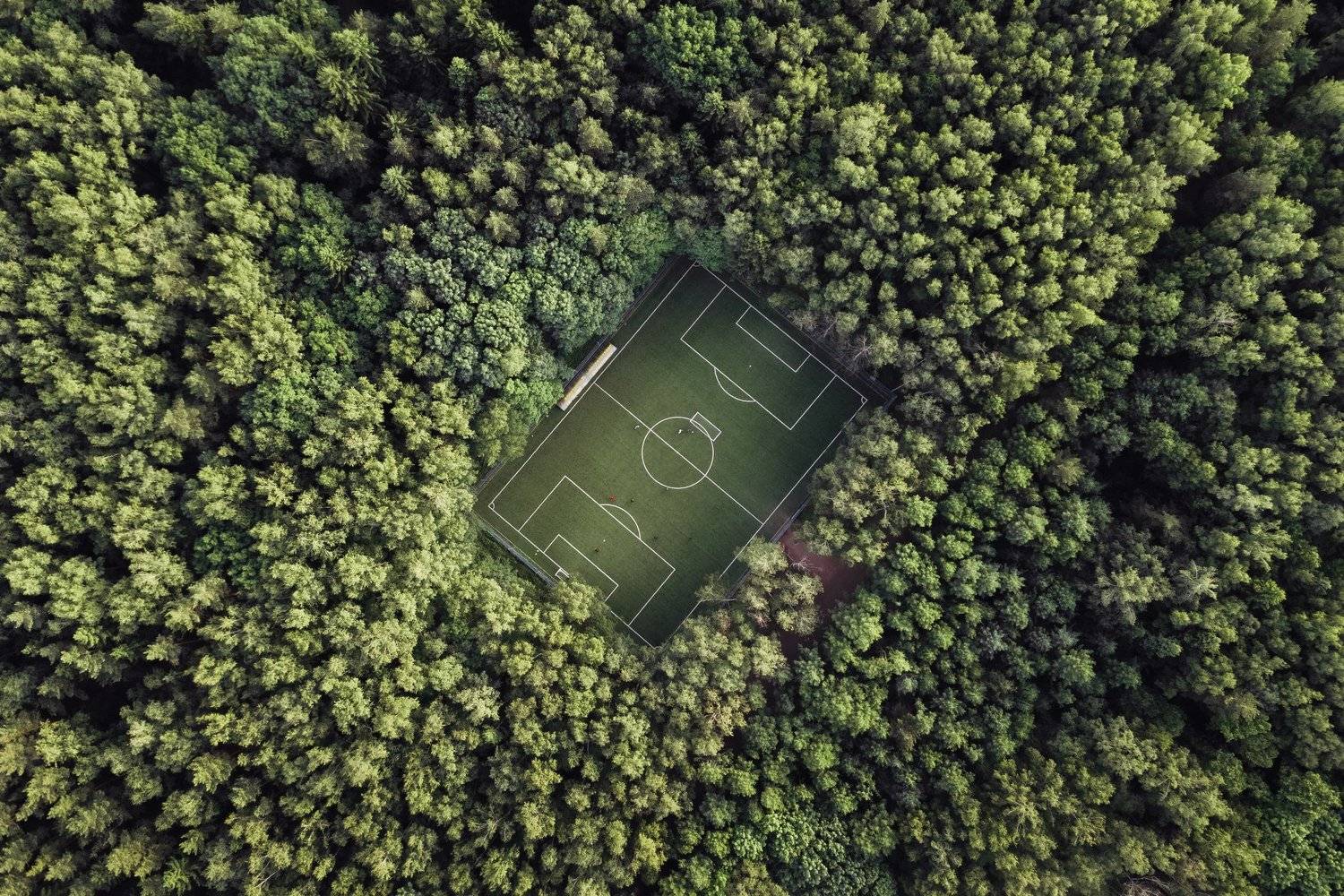 Football in the forest