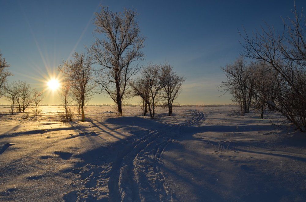 Весёлая лыжня.