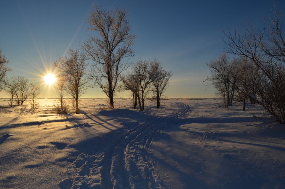 Весёлая лыжня.