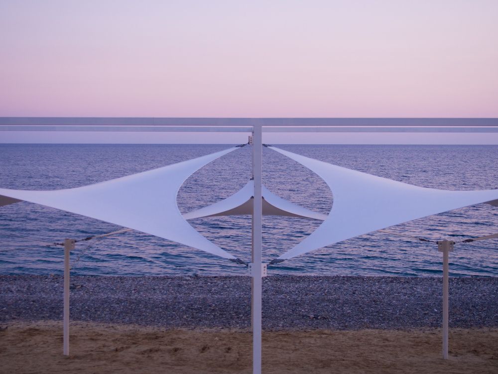 Морской скат